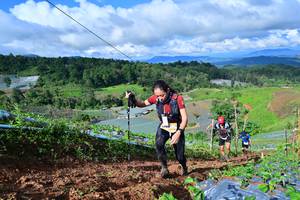 BIB: 
                            <button type="button" onclick="openModal(13380764)" class="btn btn-primary btn-sm float-right btn-popup" data-toggle="modal" data-target=".modal-high-quality">
                        <i class="fas fa-shopping-cart"></i> Add to Cart
                    </button>
                                            <button type="button" onclick="isThisMe(13380764, true)" class="btn btn-success btn-sm float-right btn-popup btn-isme hidden" data-toggle="tooltip" data-placement="bottom" title="นี่คือรูปของคุณใช่ไหม คลิกที่นี่เพื่อเอาเข้าอัลบั้ม">
                        <i class="fas fa-plus"></i> Add to album
                    </button>
                    <button type="button" onclick="isThisMe(13380764, false)" class="btn btn-warning btn-sm float-right btn-popup btn-isnotme hidden">
                        <i class="fas fa-ban"></i> Remove from album
                    </button>